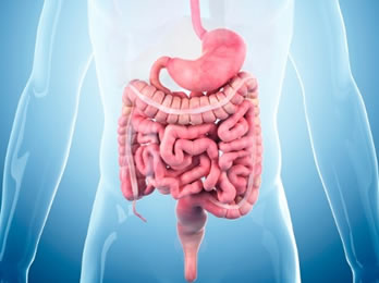 coloproc